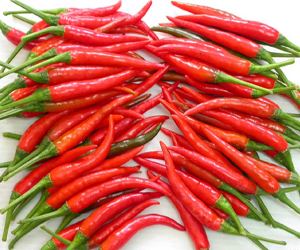 Ớt tươi có cuốn